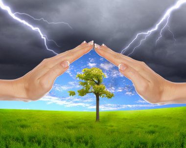 Human hands protecting tree clipart