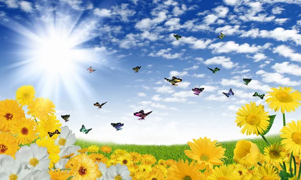 Mooie bloemen tegen de blauwe hemel — Stockfoto