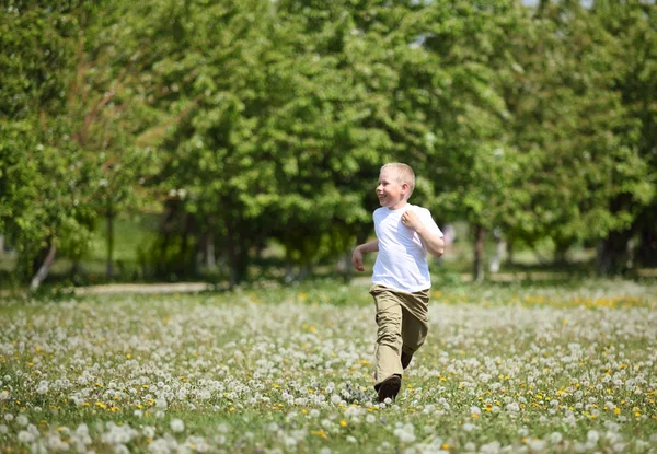Malý chlapec hraje v parku — Stock fotografie