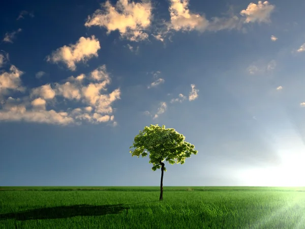 Paisagem natural com nuvens — Fotografia de Stock