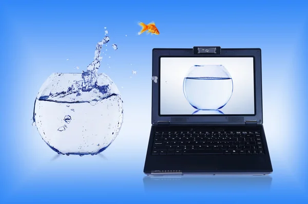 Gouden vis op laptopscherm — Stockfoto