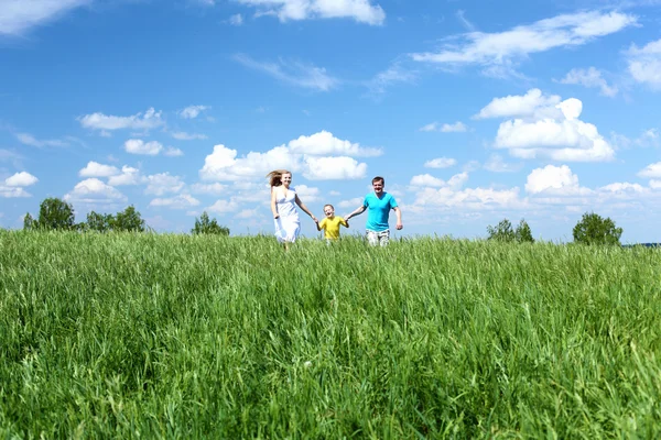 ครอบครัวที่มีลูกชายบนทุ่งหญ้า — ภาพถ่ายสต็อก