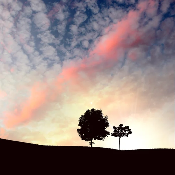 Samotne drzewo i zachód słońca — Zdjęcie stockowe