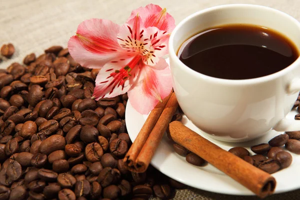 Cup of coffee with tubes of cinnamon — Stock Photo, Image