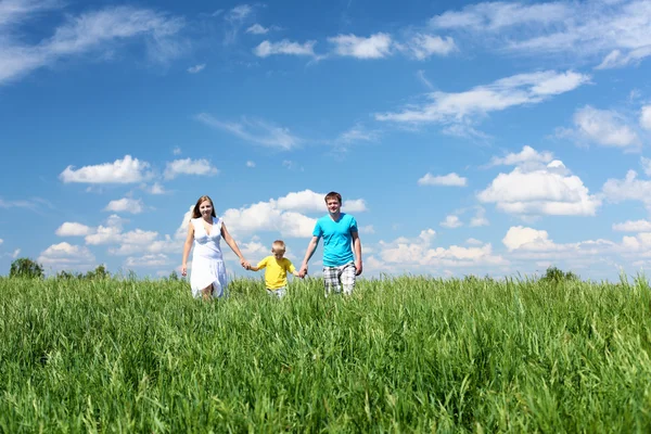 牧草地の息子と家族 — ストック写真