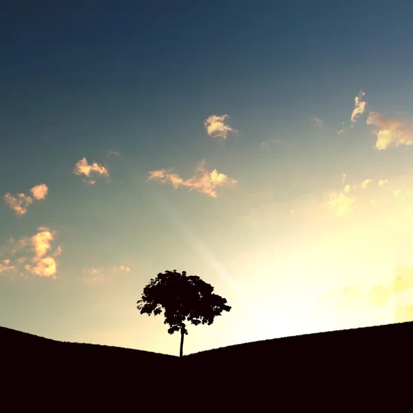Eenzame boom op de horizon — Stockfoto