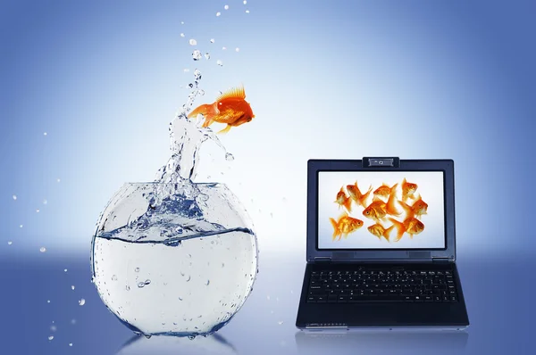 Χρυσό ψάρι στην οθόνη του φορητού υπολογιστή — Φωτογραφία Αρχείου