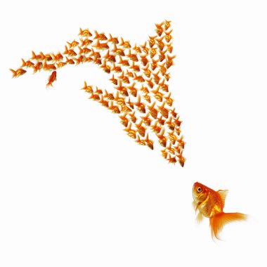 Gold fish together clipart