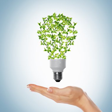 Green bulb clipart