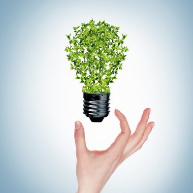 Green bulb clipart