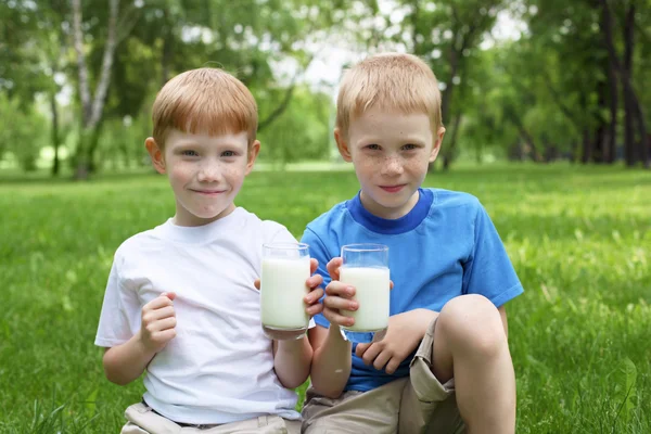 夏の屋外で 2 人の男の子の肖像画 — ストック写真