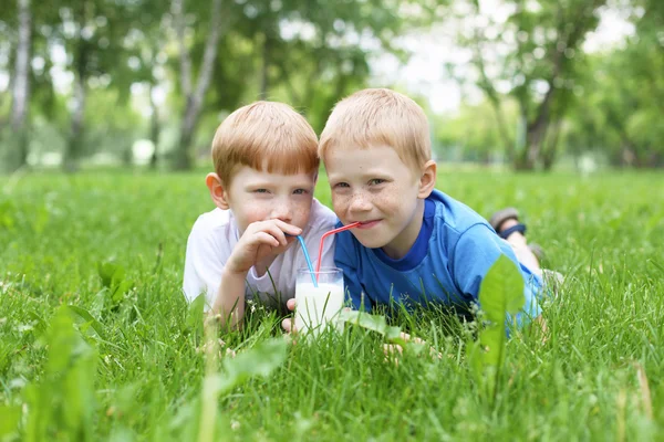 Πορτρέτο του δύο αγόρια στην ύπαιθρο το καλοκαίρι — Φωτογραφία Αρχείου