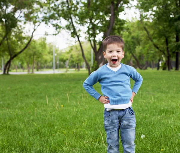 Retrato de un niño pequeño al aire libre —  Fotos de Stock