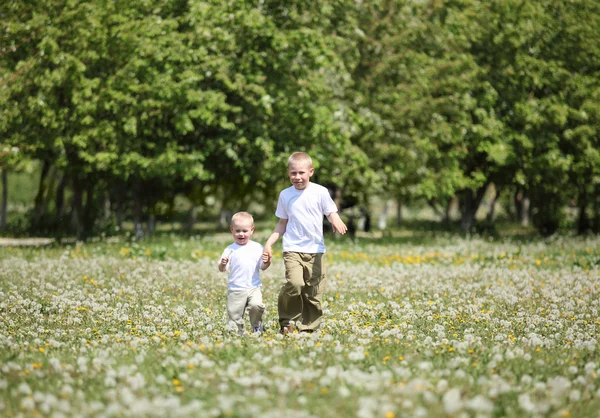 Маленькие мальчики играют в парке — стоковое фото
