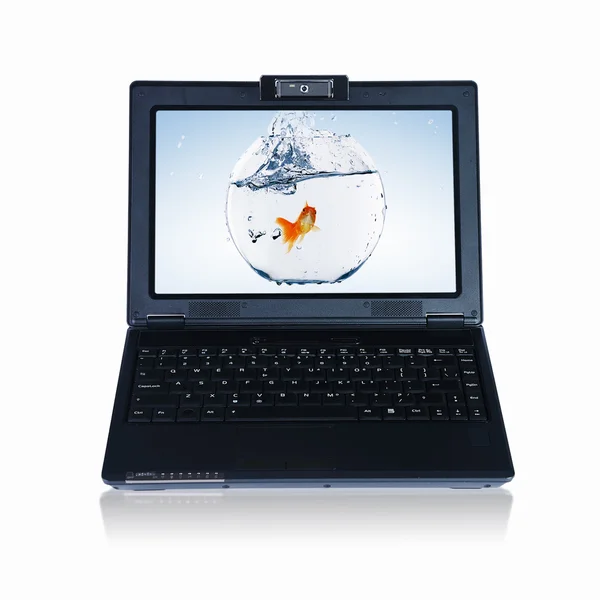 Золота риба на екрані ноутбука — стокове фото