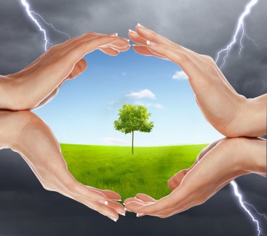 Human hands protecting tree clipart