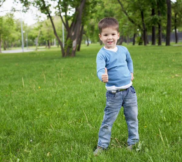 Egy kisfiú portréja a szabadban. — Stock Fotó