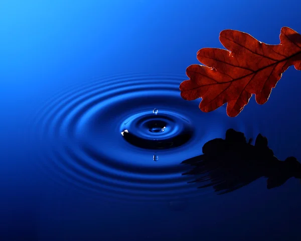 stock image Drop of water falling into the water