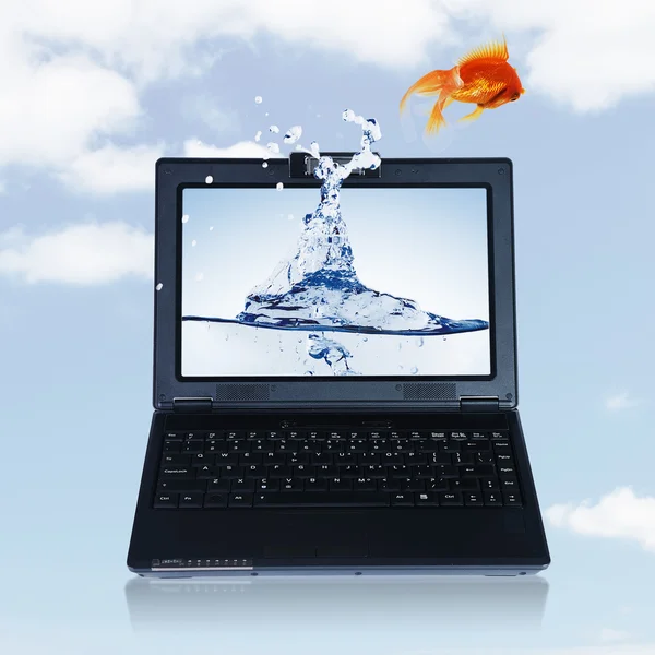 Gouden vis op laptopscherm — Stockfoto