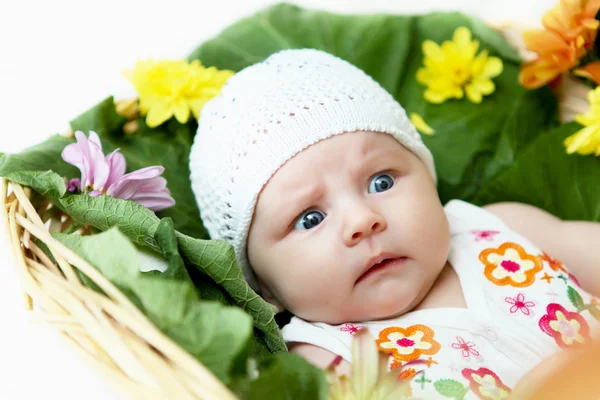 幼児の肖像画 — ストック写真