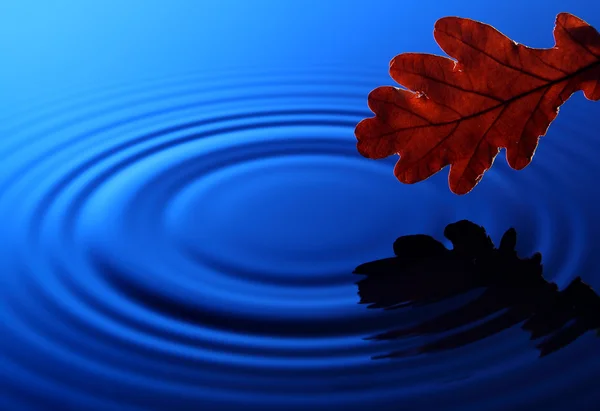 stock image Drop of water falling into the water