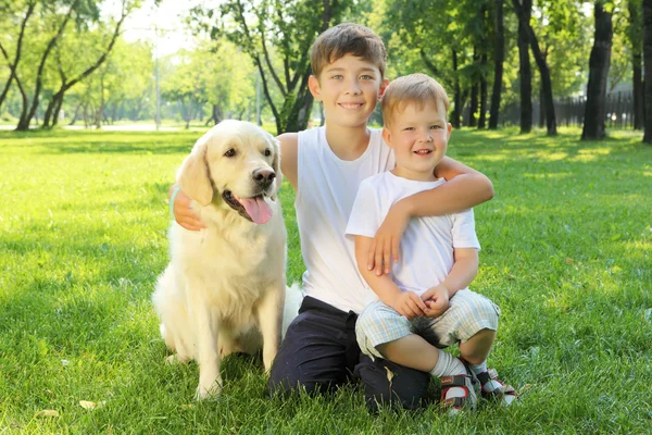 Two brothers in the park with a dog Stock Image