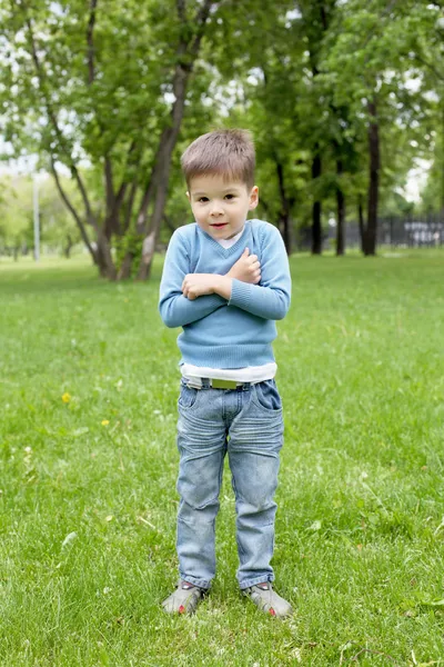屋外の小さな男の子の肖像画 — ストック写真