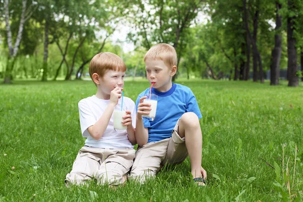 夏の屋外で 2 人の男の子の肖像画 — ストック写真