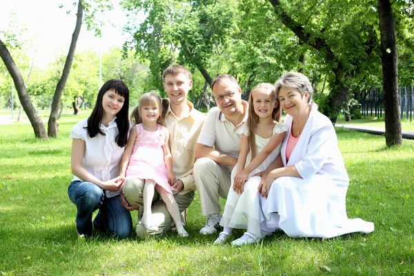 Uitgebreide familie samen in het park — Stockfoto