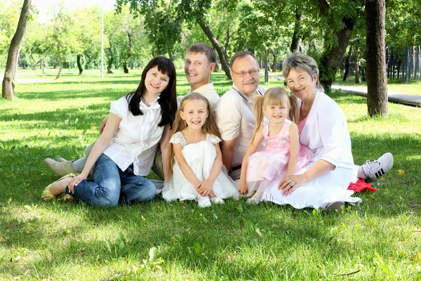 Utvidgade familjen tillsammans i parken — Stockfoto