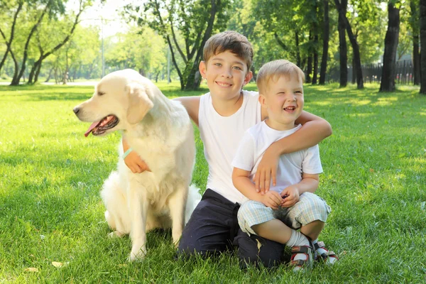 Two brothers in the park with a dog — Stock Photo, Image