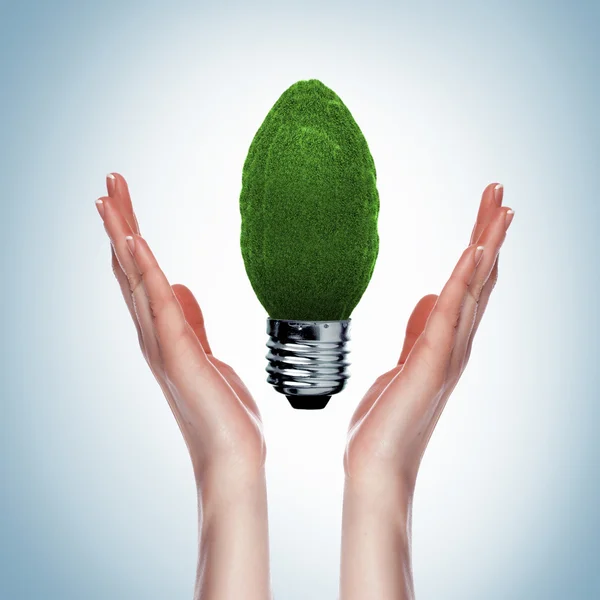 Groene lamp — Stockfoto