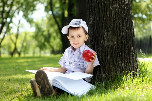 Portret van een jongen met een boek in het park — Stockfoto