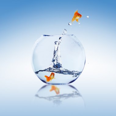 Gold fish in a fishbowl clipart