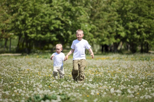 Små pojkar leker i parken — Stockfoto