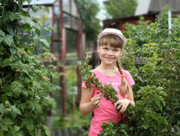 Dívka zahradnictví v létě — Stock fotografie