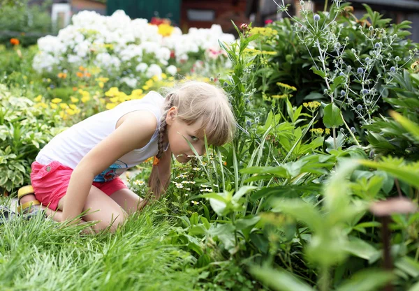 Yaz aylarında Bahçe kız — Stok fotoğraf