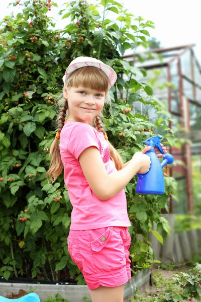 Girl watering plants — Stock Photo, Image