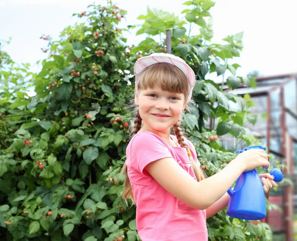 Dívka zalévání rostlin — Stock fotografie