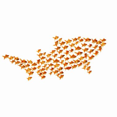 Gold fish together clipart