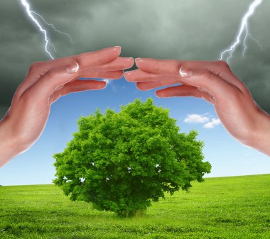 Human hands protecting tree clipart