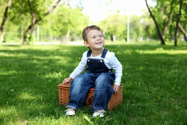 Portrait of a boy in the park — Stock Photo, Image