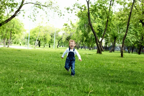 उद्यानात एका मुलाचे पोर्ट्रेट — स्टॉक फोटो, इमेज