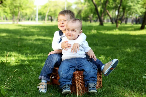 公園で一緒に 2 つのリトル兄弟 — ストック写真