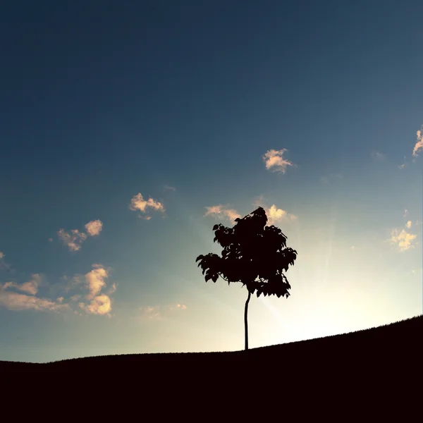 Osamělý strom na obzoru — Stock fotografie