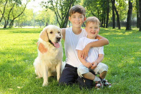 Two brothers in the park with a dog — Stock Photo, Image