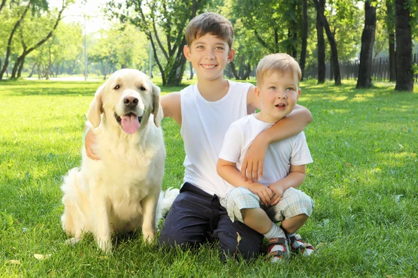 Two brothers in the park with a dog Royalty Free Stock Photos