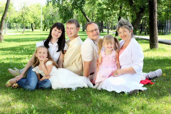 Famiglia allargata insieme nel parco — Foto Stock