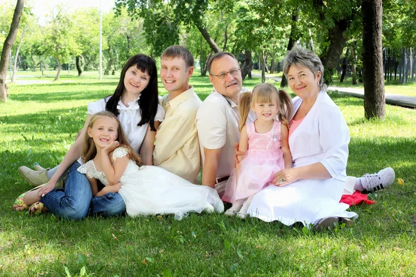 Kiterjedt család együtt a parkban — Stock Fotó
