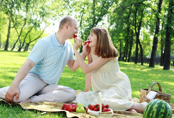 Genç çift parkta piknik yapıyor. — Stok fotoğraf